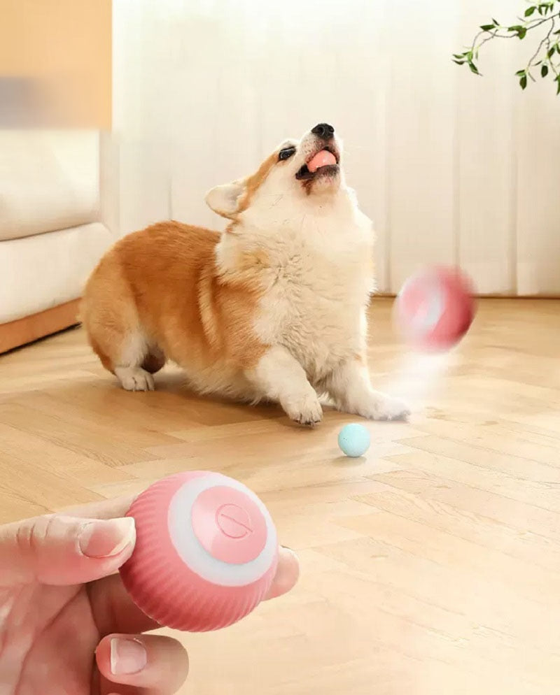 Electric Dog Ball Toys Auto Rolling Smart Dog Toys for Dogs Training Self-moving Pet Puppy Toys Indoor Interactive PlayI Supply